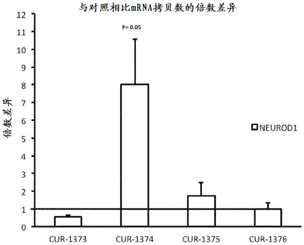 开云体育直播