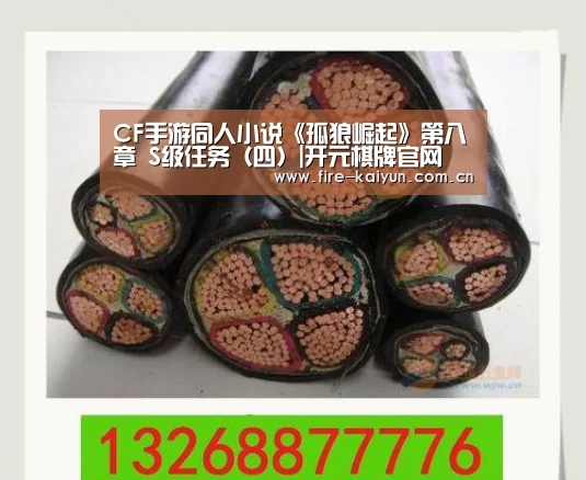 CF手游同人小说《孤狼崛起》第八章 S级任务(四)|开元棋牌官网(图2) 开元棋牌官网