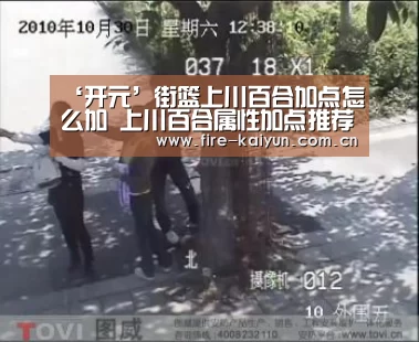 ‘开元’街篮上川百合加点怎么加 上川百合属性加点推荐(图2) 开元